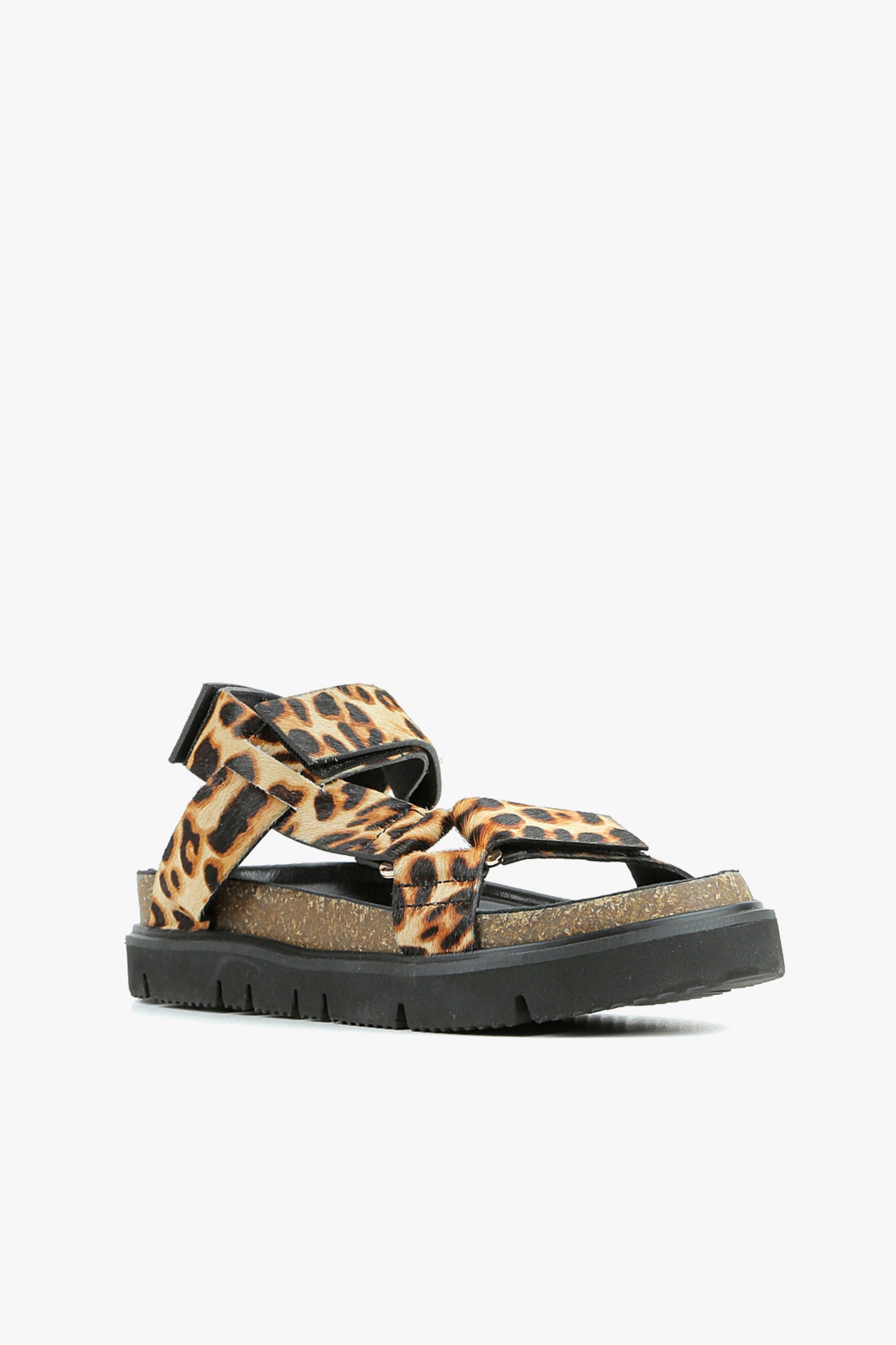 Jungle Lowform