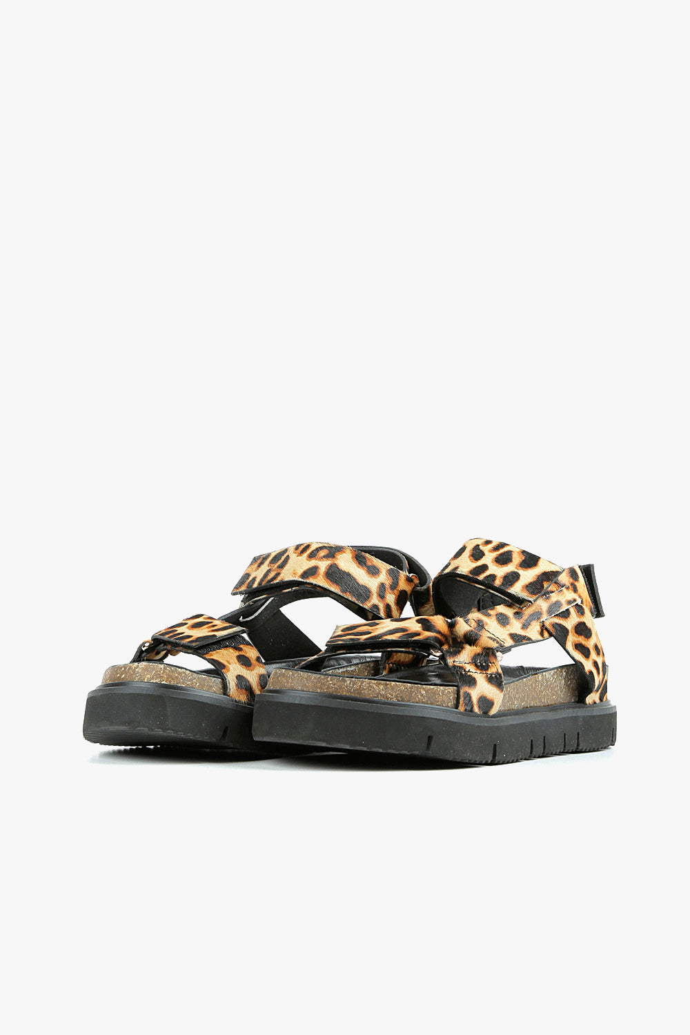 Jungle Lowform