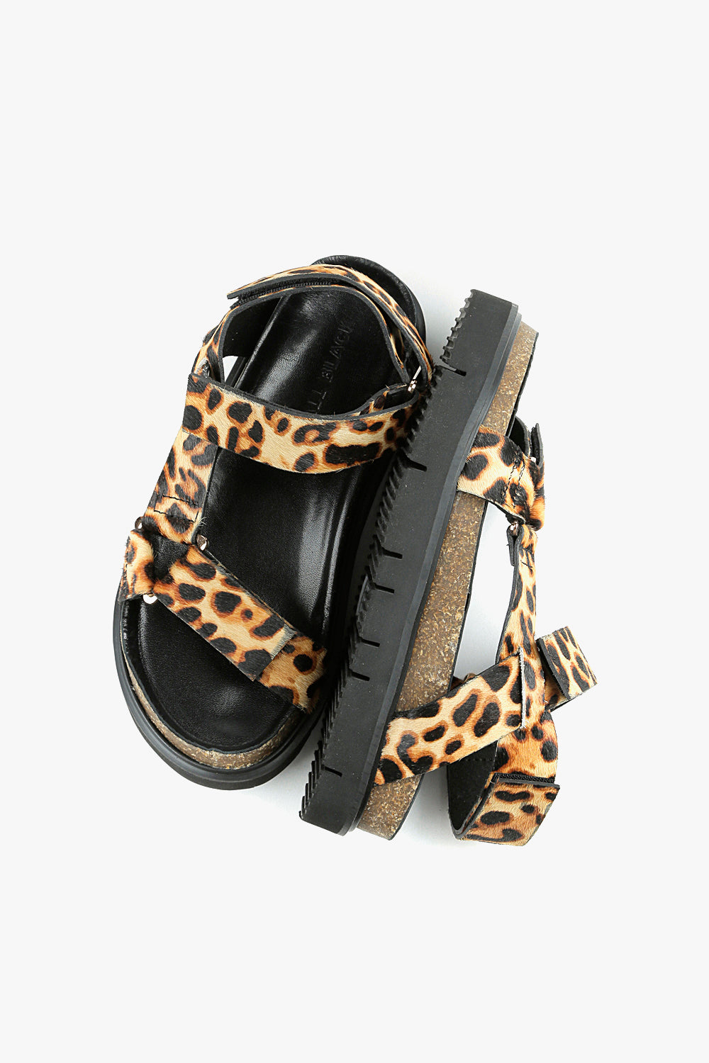 Jungle Lowform