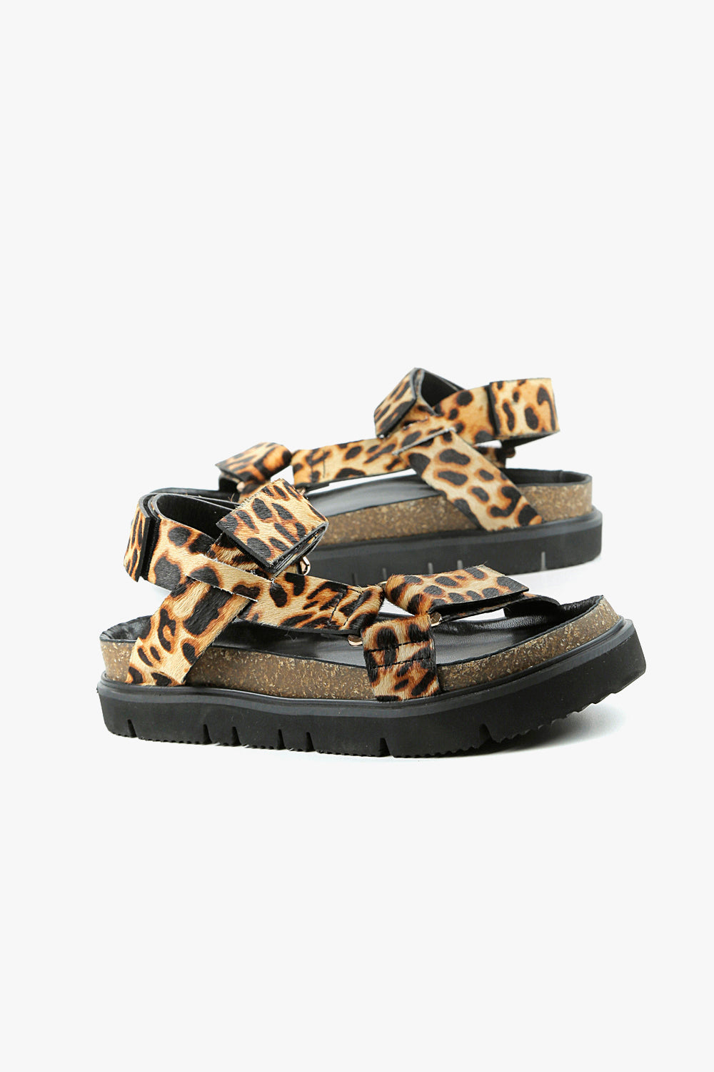 Jungle Lowform